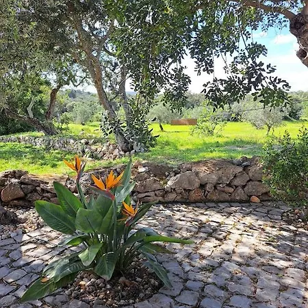 - Studio Casa La-paz *