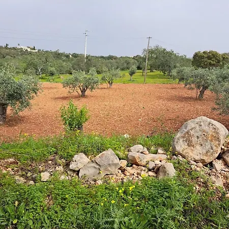 Pansiyon - Studio Casa La-paz Santa Bárbara de Nexe